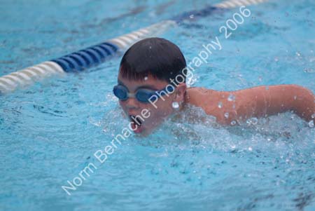 CPWST-PGST-7-15-2006-221